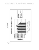 Compositions and Methods for Treating and Diagnosing Cancer diagram and image