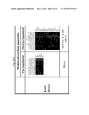 Toxicology and Cellular Effect of Manufactured Nanomaterials diagram and image