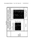 Toxicology and Cellular Effect of Manufactured Nanomaterials diagram and image