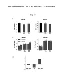 Toxicology and Cellular Effect of Manufactured Nanomaterials diagram and image