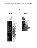 Toxicology and Cellular Effect of Manufactured Nanomaterials diagram and image