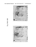 Toxicology and Cellular Effect of Manufactured Nanomaterials diagram and image