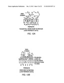 METHODS OF USING REGENERATIVE CELLS IN THE TREATMENT OF PERIPHERAL     VASCULAR DISEASE AND RELATED DISORDERS diagram and image