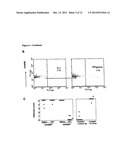 ZWITTERIONIC IMMUNOMODULATORS FOR THE TEATMENT OF ASTHMA AND ALLERGY diagram and image