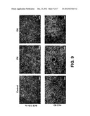 HYDROGEL-FORMING POLYMER, AND PREPARATION PROCESS AND USES THEREOF diagram and image