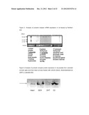 NEUTRALIZING PROLACTIN RECEPTOR ANTIBODIES AND THEIR THERAPEUTIC USE diagram and image