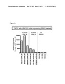 NEUTRALIZING PROLACTIN RECEPTOR ANTIBODIES AND THEIR THERAPEUTIC USE diagram and image