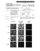 Compositions and Methods for the Therapy and Diagnosis of Influenza diagram and image