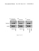 TREATMENT OF RENAL INJURY diagram and image