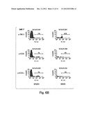 COMPOSITIONS AND METHODS RELATED TO TIM 3, A TH1-SPECIFIC CELL SURFACE     MOLECULE diagram and image