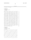 COMPOSITIONS AND METHODS RELATED TO TIM 3, A TH1-SPECIFIC CELL SURFACE     MOLECULE diagram and image