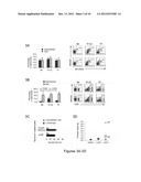 MIC-BINDING ANTIBODIES AND METHODS OF USE THEREOF diagram and image