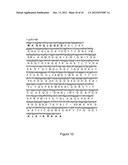 MIC-BINDING ANTIBODIES AND METHODS OF USE THEREOF diagram and image