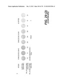 LENTIVIRAL GENE TRANSFER VECTORS AND THEIR MEDICINAL APPLICATIONS diagram and image