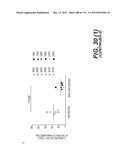 LENTIVIRAL GENE TRANSFER VECTORS AND THEIR MEDICINAL APPLICATIONS diagram and image