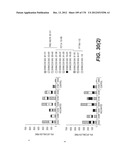 LENTIVIRAL GENE TRANSFER VECTORS AND THEIR MEDICINAL APPLICATIONS diagram and image