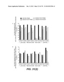 LENTIVIRAL GENE TRANSFER VECTORS AND THEIR MEDICINAL APPLICATIONS diagram and image