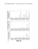 LENTIVIRAL GENE TRANSFER VECTORS AND THEIR MEDICINAL APPLICATIONS diagram and image