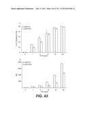 LENTIVIRAL GENE TRANSFER VECTORS AND THEIR MEDICINAL APPLICATIONS diagram and image