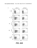 LENTIVIRAL GENE TRANSFER VECTORS AND THEIR MEDICINAL APPLICATIONS diagram and image