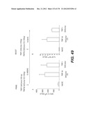 LENTIVIRAL GENE TRANSFER VECTORS AND THEIR MEDICINAL APPLICATIONS diagram and image