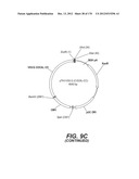 LENTIVIRAL GENE TRANSFER VECTORS AND THEIR MEDICINAL APPLICATIONS diagram and image