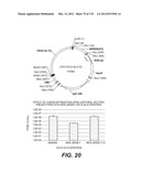 LENTIVIRAL GENE TRANSFER VECTORS AND THEIR MEDICINAL APPLICATIONS diagram and image