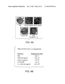 USES OF FORMULATIONS OF THYROID HORMONE ANALOGS AND NANOPARTICULATE FORMS     THEREOF TO INCREASE CHEMOSENSIVITY AND RADIOSENSITIVITY IN TUMOR OR     CANCER CELLS diagram and image