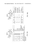 USES OF FORMULATIONS OF THYROID HORMONE ANALOGS AND NANOPARTICULATE FORMS     THEREOF TO INCREASE CHEMOSENSIVITY AND RADIOSENSITIVITY IN TUMOR OR     CANCER CELLS diagram and image