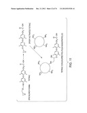 USES OF FORMULATIONS OF THYROID HORMONE ANALOGS AND NANOPARTICULATE FORMS     THEREOF TO INCREASE CHEMOSENSIVITY AND RADIOSENSITIVITY IN TUMOR OR     CANCER CELLS diagram and image