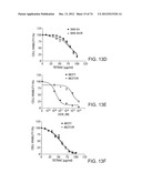 USES OF FORMULATIONS OF THYROID HORMONE ANALOGS AND NANOPARTICULATE FORMS     THEREOF TO INCREASE CHEMOSENSIVITY AND RADIOSENSITIVITY IN TUMOR OR     CANCER CELLS diagram and image