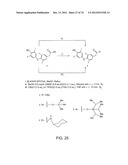 USES OF FORMULATIONS OF THYROID HORMONE ANALOGS AND NANOPARTICULATE FORMS     THEREOF TO INCREASE CHEMOSENSIVITY AND RADIOSENSITIVITY IN TUMOR OR     CANCER CELLS diagram and image