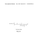 USES OF FORMULATIONS OF THYROID HORMONE ANALOGS AND NANOPARTICULATE FORMS     THEREOF TO INCREASE CHEMOSENSIVITY AND RADIOSENSITIVITY IN TUMOR OR     CANCER CELLS diagram and image