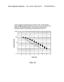 USES OF FORMULATIONS OF THYROID HORMONE ANALOGS AND NANOPARTICULATE FORMS     THEREOF TO INCREASE CHEMOSENSIVITY AND RADIOSENSITIVITY IN TUMOR OR     CANCER CELLS diagram and image