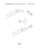 SELF-ASSEMBLING NANOPARTICLE DRUG DELIVERY SYSTEM diagram and image