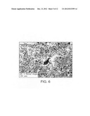 METHOD OF MAKING NANOPARTICLE REINFORCED METAL MATRIX COMPONENTS diagram and image