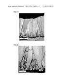 METAL LAMINATED STRUCTURE AND METHOD FOR PRODUCING THE SAME diagram and image