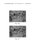 Method and Apparatus for Discriminating Undifferentiated Pluripotent Stem     Cells, and Automated Culture Method and System diagram and image