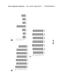 METHODS FOR DIAGNOSING IRRITABLE BOWEL SYNDROME diagram and image