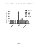 METHODS FOR DIAGNOSING IRRITABLE BOWEL SYNDROME diagram and image