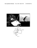 Universal Sample Preparation System And Use In An Integrated Analysis     System diagram and image