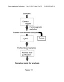 Universal Sample Preparation System And Use In An Integrated Analysis     System diagram and image