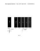 Universal Sample Preparation System And Use In An Integrated Analysis     System diagram and image