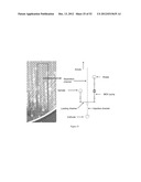 Universal Sample Preparation System And Use In An Integrated Analysis     System diagram and image