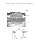 Universal Sample Preparation System And Use In An Integrated Analysis     System diagram and image