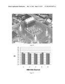 Universal Sample Preparation System And Use In An Integrated Analysis     System diagram and image