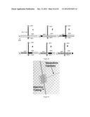 Universal Sample Preparation System And Use In An Integrated Analysis     System diagram and image