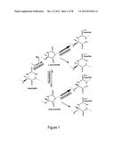 BIOMARKERS OF MUSCULOSKELETAL DISEASE diagram and image