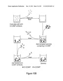 BIOMARKERS OF MUSCULOSKELETAL DISEASE diagram and image