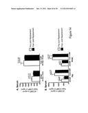 BIOMARKERS OF MUSCULOSKELETAL DISEASE diagram and image